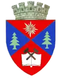 بيتروشاني