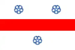 ميركورا تشيوك