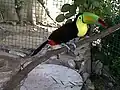 Venezuela