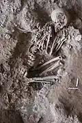 بقايا بشرية