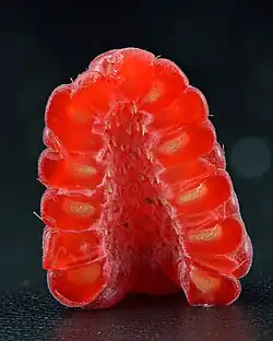Halved raspberry, torus does not remain when the fruit is picked