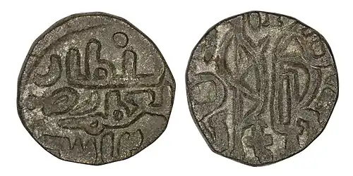 نوع دلهي