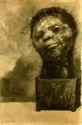 رجل الصبار، 1881.