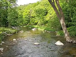 صورة لجزء من نهر ريدوود.