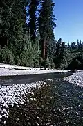 مزرعة في إحدى الحدائق