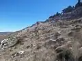 على مشارف قمة الرفاعة