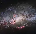 نحتت قوى المد والجزر المجرية شكل وخواصNGC 4490.