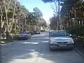 الطريق إلى أثر مقبرة الشاه رضا عام 2010م
