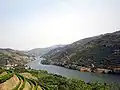 زراعة المصاطب في نهر دويرة