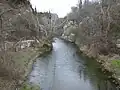 النهر المؤدي من الشلال