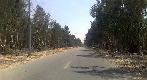 الطريق الواصل بين مدينة السادات والدير بطول 2.8 كم حتى بوابة الدير الخاصة بمزرعته، وبإجمالي 5 كيلومترات حتى مبنى الدير نفسه، ويعبر طريق القاهرة - الإسكندرية الصحراوي.