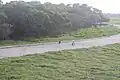 الجزيرة صيفا