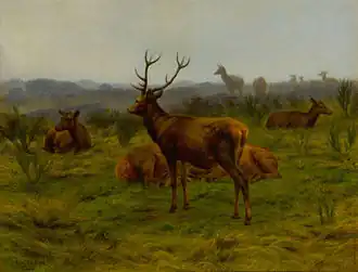 Le monarque de la meute,  ملك القطيع The Monarch of the herd
