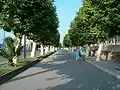 طريق حي تيزيرين بشرشال.