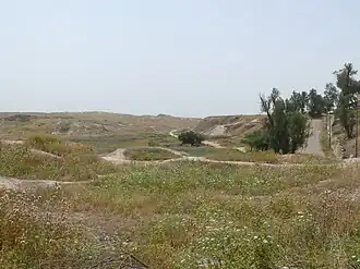 شوشان