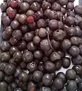 Drying Rudraksh fruits