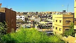 منظر لمنطقة العامرية