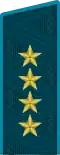 زي القوات الجوية (2010–13)