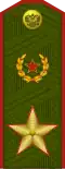 زي الخدمة (1994-1997)