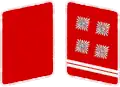 SA Gorget التصحيح