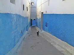 زقاق بقصبة الوداية بمدينة الرباط المغرب.
