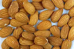اللب الداخلية للوز وتسمى الواحدة منها لوزة