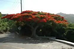 Beautiful Scenery