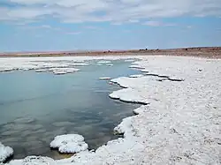 تشكيلات ملحيّة في بوثو إلمونتي