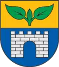 شعار Salaspils