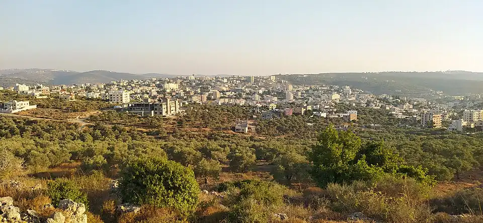 مدينة سلفيت صيف عام 2020
