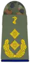 العام stabsarzt  ( طب الأسنان )