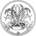 محافظة أنغ ثونغ