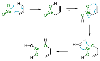Allylic oxidation