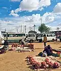 البصل السوداني