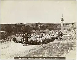 صورةٌ من عام 1900، يظهر فيها مسجد الشيخ جراح في الخلف.