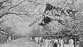 القصر في سنة 1930 خلال الاحتلال الياباني لكوريا