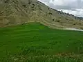 سهول بسيدي لزرق