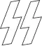 SS insignia