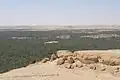 واحة سيوة