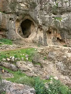 مغارة السخول في جبل الكرمل