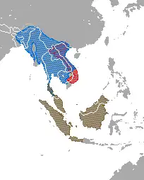 Range map showing ranges of several species: the Sunda slow loris complex (N. coucang) in Thailand, Malaysia, and Indonesia; the Bengal slow loris (N. bengalensis) in east India, China, Bangladesh, Bhutan, Burma, Thailand, Laos, Vietnam, and Cambodia; and the pygmy slow loris (N. pygmaeus) in Vietnam and Laos.