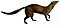 Meller's mongoose