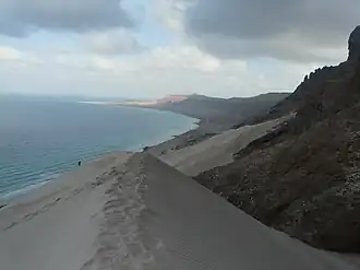 عرعر