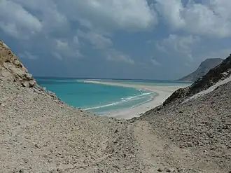 قلنسية