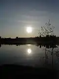 رينغريكه