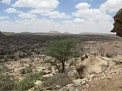 ريف صوماليلاند.