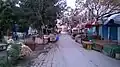 صورة لسوق المر
