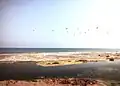 مصب وادي أقريون قرب مدينة سوق الاثنين في خليج بجاية