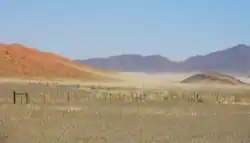 صحراء ناميب