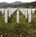 مقابر (2009)
